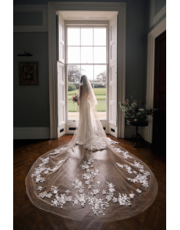 Cathedral length soft blush veil by Enzoani Cathedral length soft blush veil by Enzoani