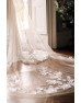 Cathedral length soft blush veil by Enzoani Cathedral length soft blush veil by Enzoani