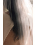 Fingertip length Ivory veil with diamanté